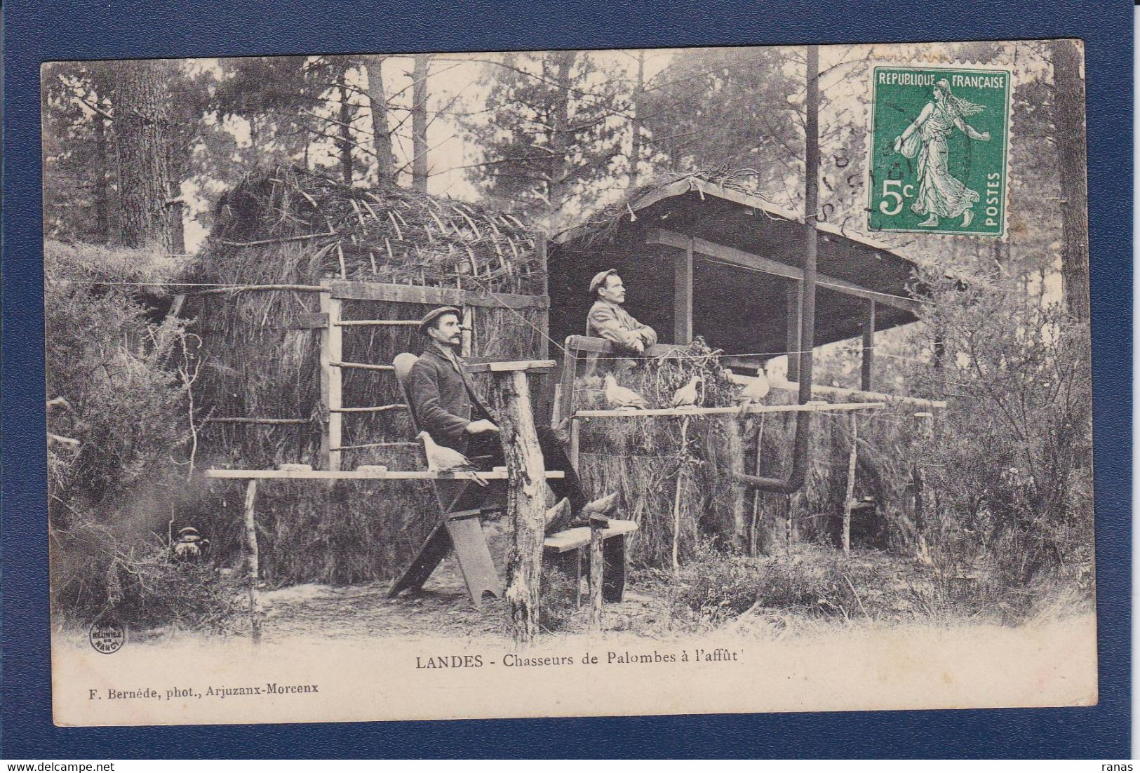 CPA [40] Landes Arjuzanx Morcenx Chasse à La Palombe Chasseurs - Sonstige & Ohne Zuordnung