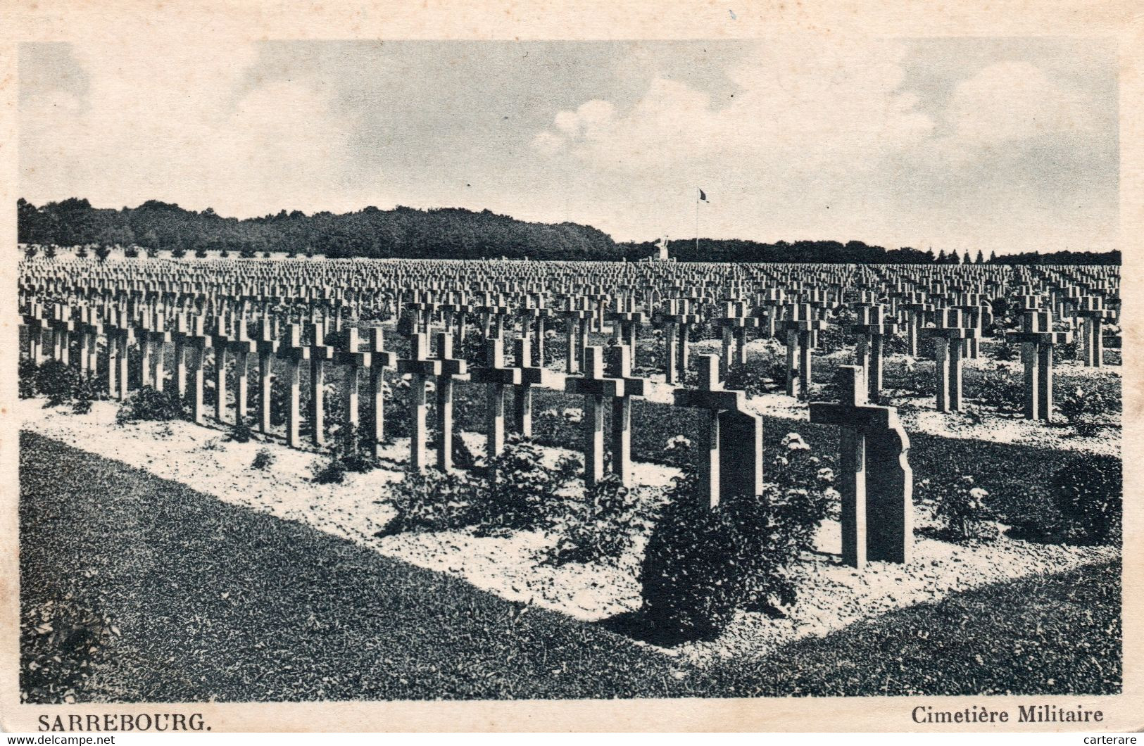 57,MOSELLE,SARREBOURG,TOMBES,CIMETIERE,RARE - Sarrebourg