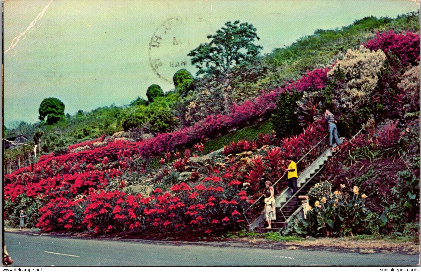 Hawaii Kona Kealakekua Machado Gardens 1971 - Hawaï