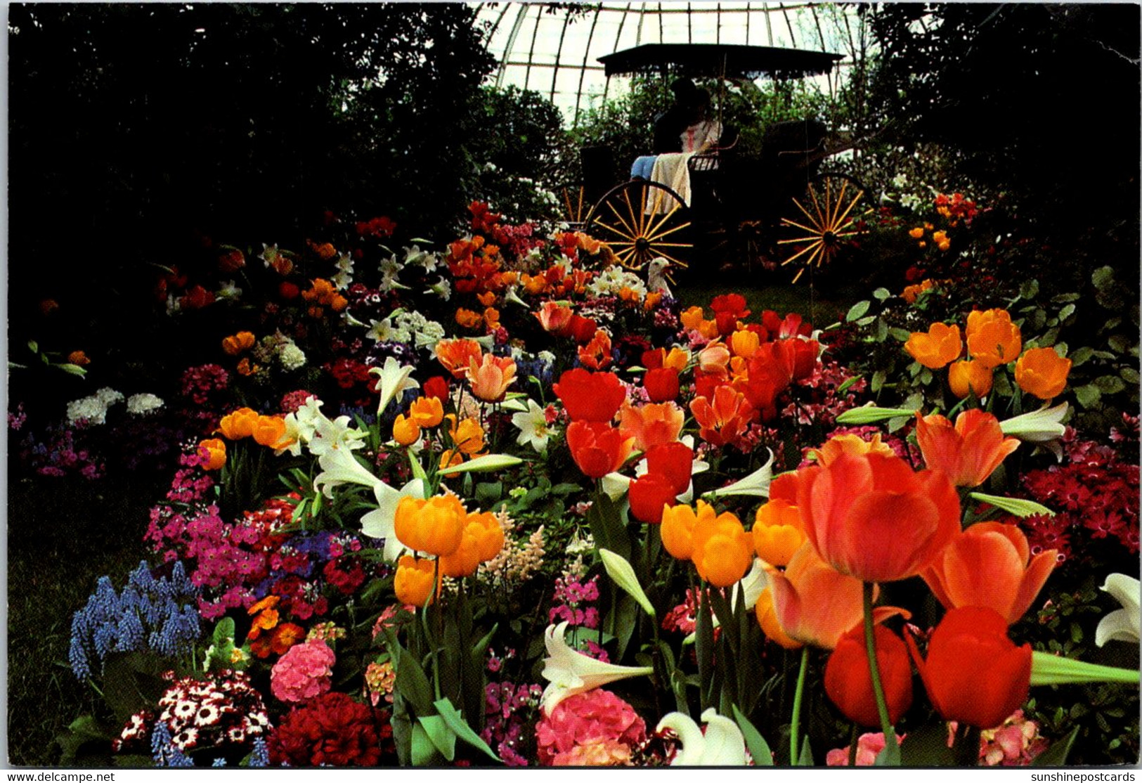 Pennsylvania Pittsburgh Phipps Conservatory Spring Flower Show - Pittsburgh