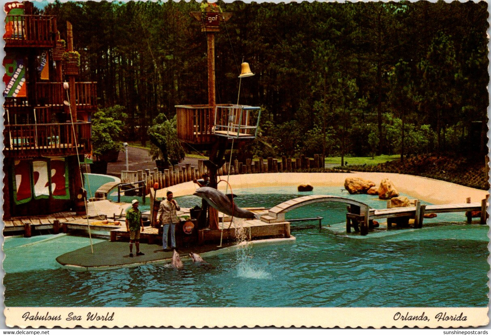 Florida Orlando Sea World Dolphin Show 1978 - Orlando