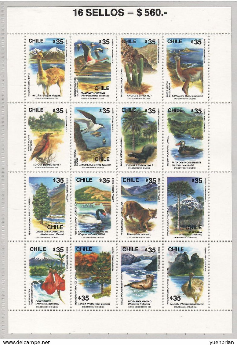 Chile 1990 , Bird, Birds, Rhea, Swan, Flamingo, Duck, M/S Of 16v, MNH** - Straussen- Und Laufvögel