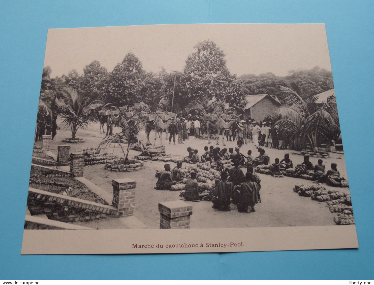 Marché Du CAOUTCHOUC à STANLEY-POOL ( Pictures >>> NO Postcard > Ne Pas De Carte Postale ) ! - Kinshasa - Léopoldville