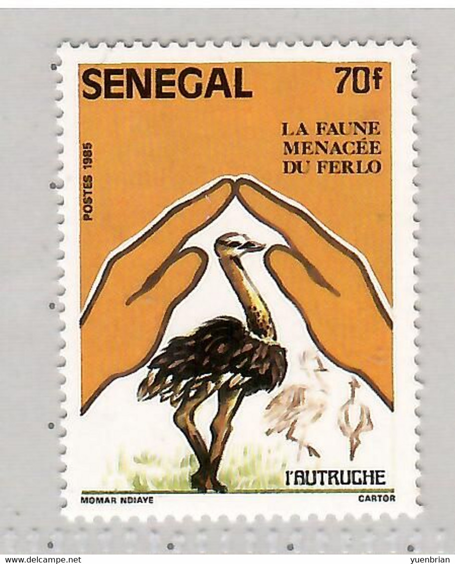 Senegal 1987 , Bird, Birds, Ostrich, 1v, MNH**, Split From Set Of 4v - Straussen- Und Laufvögel