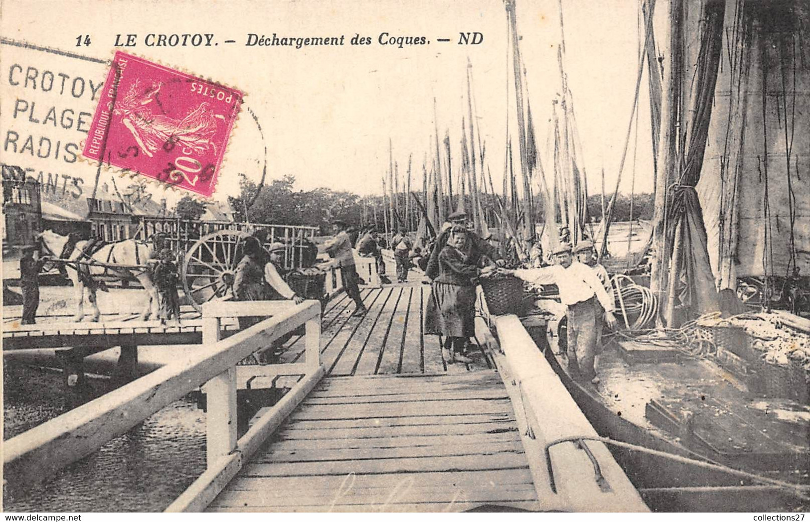 80-LE-CROTOY- DECHARGEMENT DES COQUES - Le Crotoy