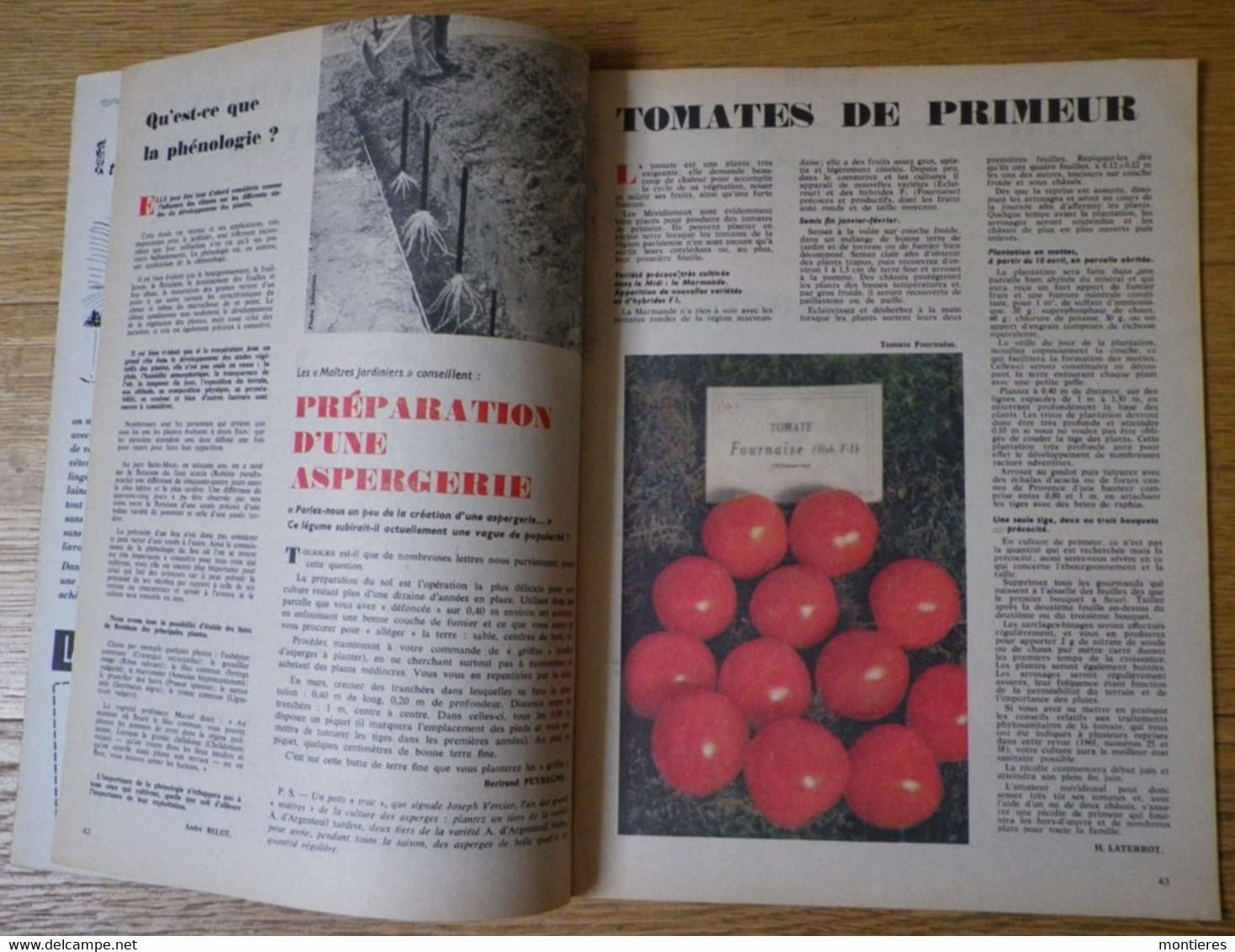 RUSTICA N° 2 14 Janvier 1962 - Cactées Pour L'hiver - Tomates De Primeur - Roses De Bellegarde Du Loiret - Jardinage