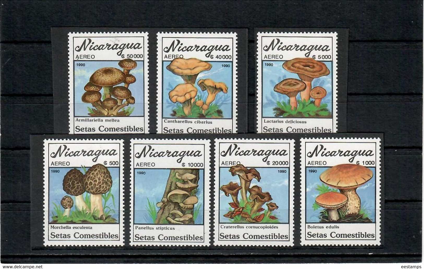 Nicaragua 1990 . Mushrooms . 7v. - Nicaragua