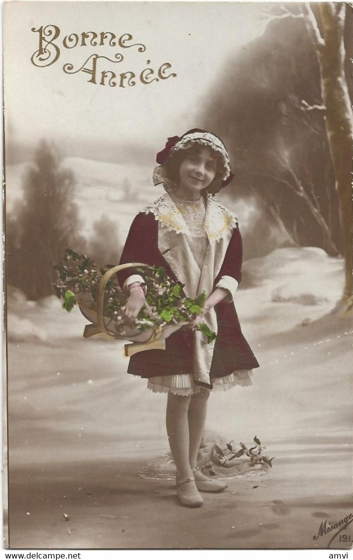 22-7-1893 Bonne Année Mesange 191 Jeune Fille Avec Un Panier De Fleurs - New Year