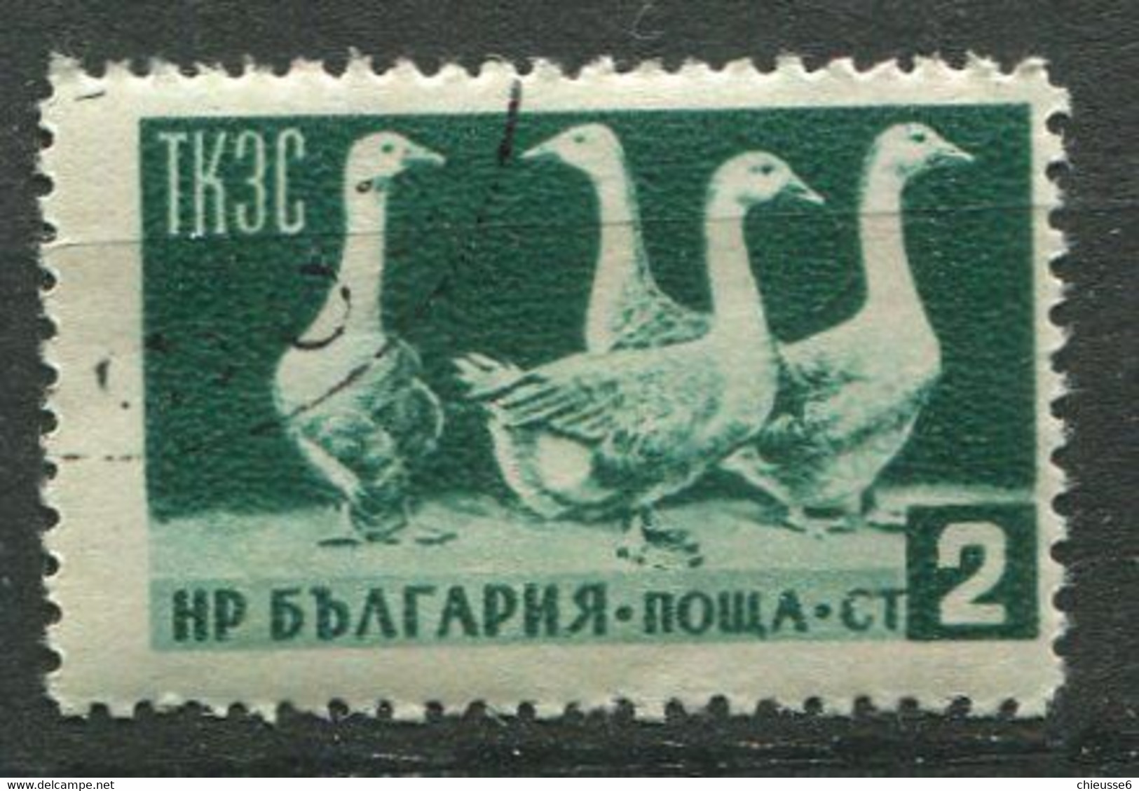 (CL 29 B - P. 10) Bulgarie Ob N° 806 - Animaux D'élevage :: Oies - Ganzen