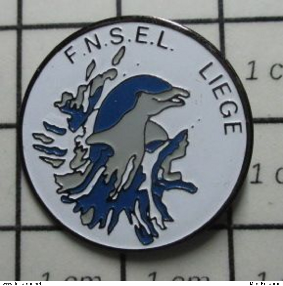 3119 Pin's Pins / Beau Et Rare / THEME : SPORTS / NATATION DAUPHIN SPORTS SCOLAIRE FNSEL LIEGE - Natation