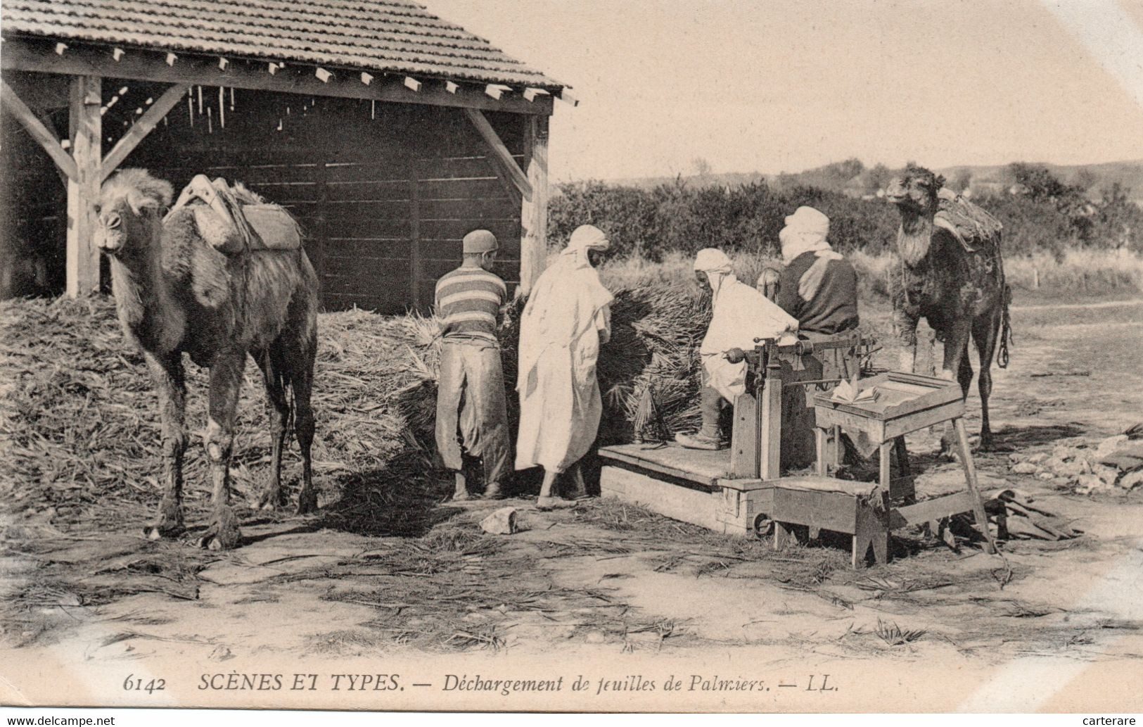 AFRIQUE DU NORD,ALGERIE,IL Y A 100 ANS,EPOQUE FRANCAISE,METIER,PAYSANS,RARE - Professions