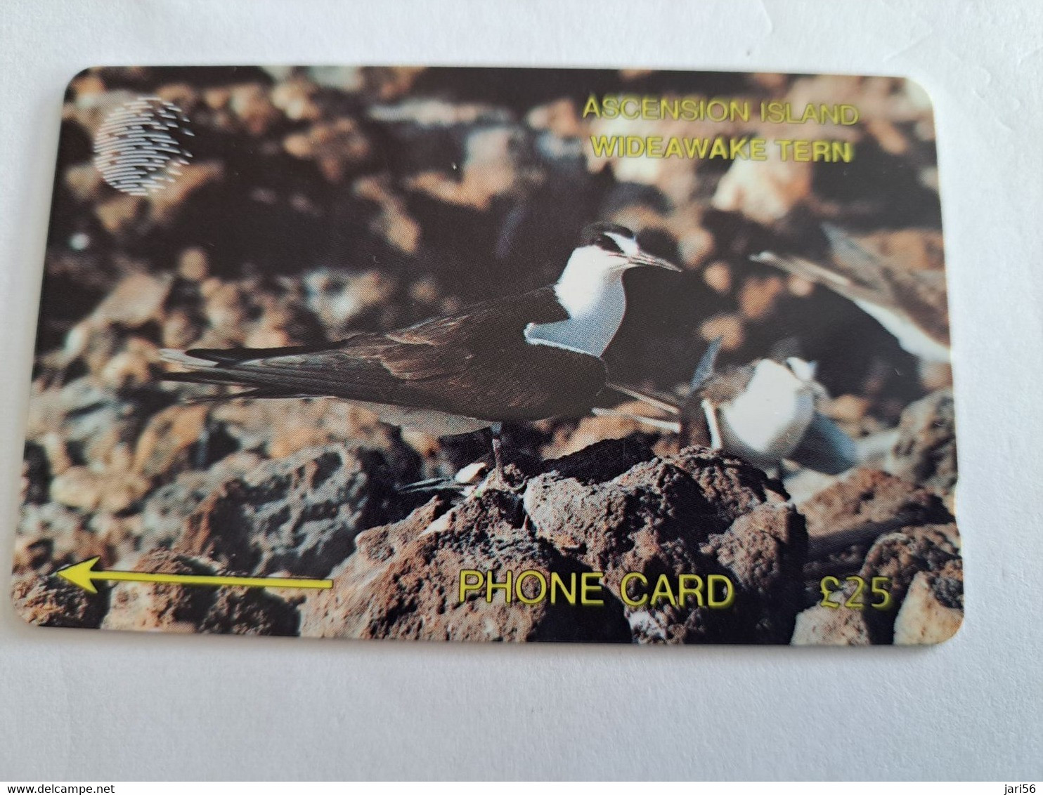 ASCENSION ISLAND   25 Pound   ASC-M3D /WIDE AWAKE TERN  3CASD  MINT   New Logo C&W **10461** - Ascension