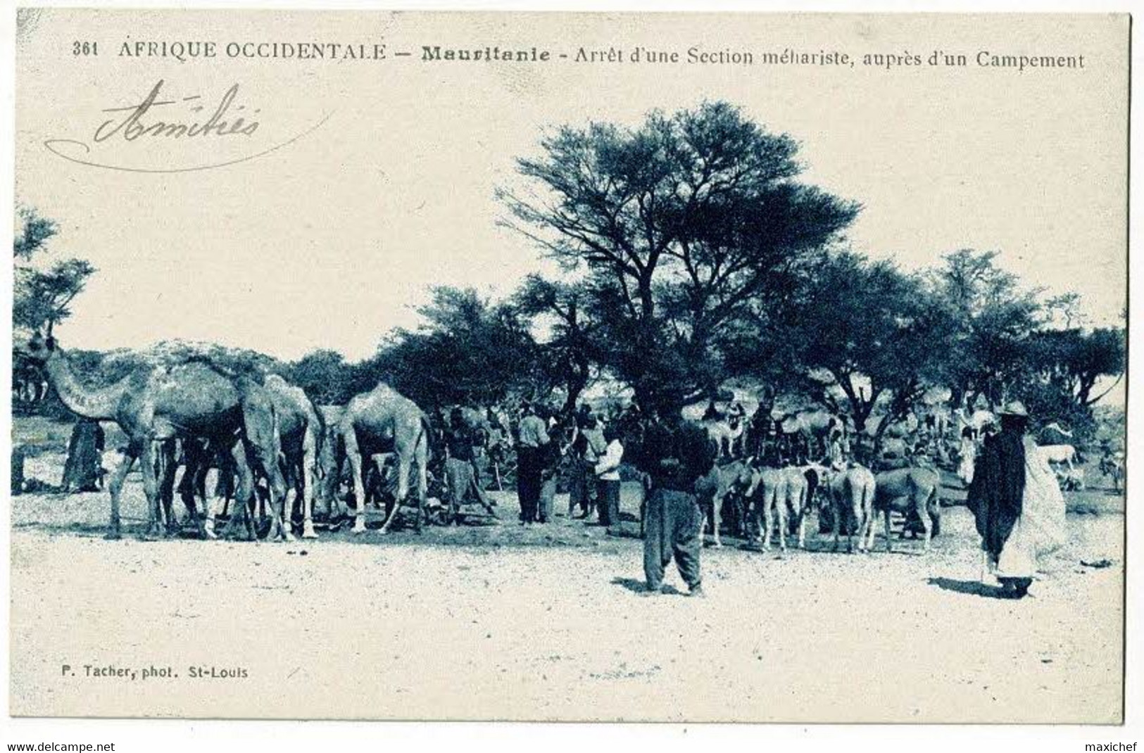 Mauritanie - Arrêt D'une Section Méhariste, Auprès D'un Campement - Circulé, Sous Enveloppe - Mauritanie
