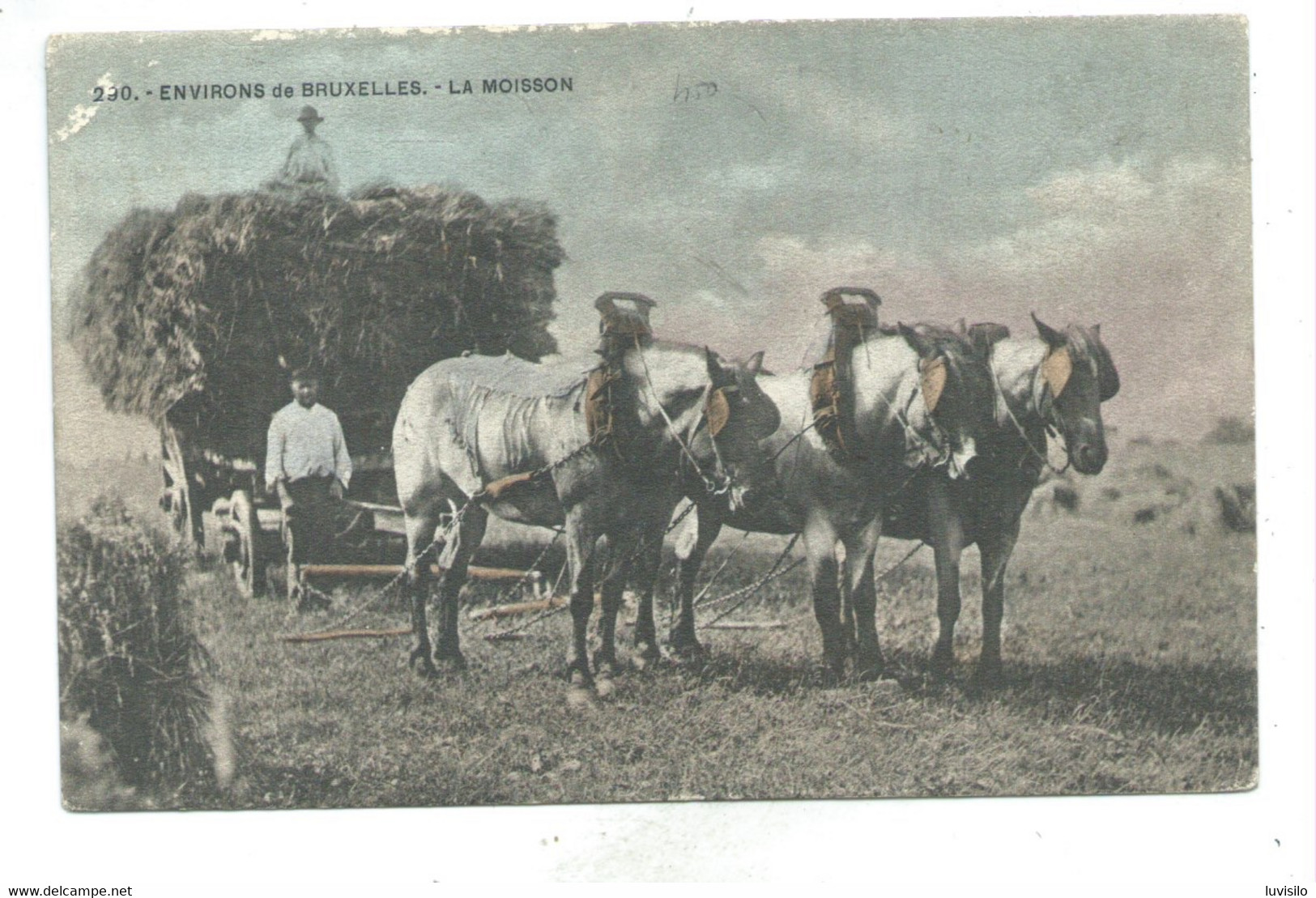 Environs De Bruxelles La Moisson ( Attelage De Trois Chevaux ) Carte Colorisée ( Edition H.M. Uccle ) - Zonder Classificatie