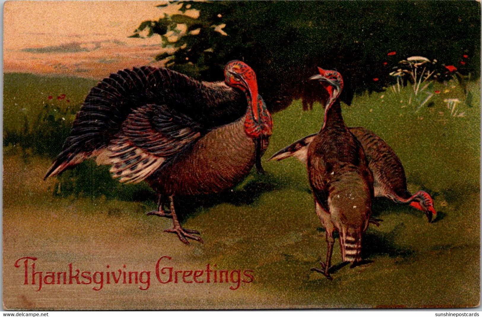 Thanksgiving Greetings With Turkeys PFB 8409 - Thanksgiving