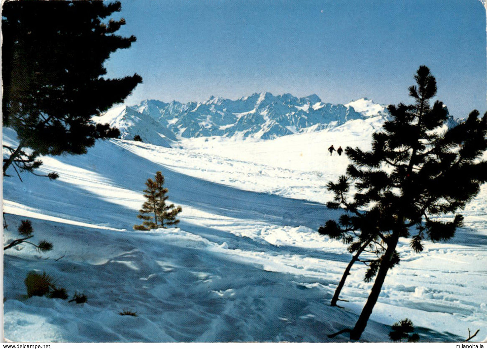 Massif Du Mt-Blanc Vu De Hte-Nendaz * 21. 2. 1985 - Nendaz