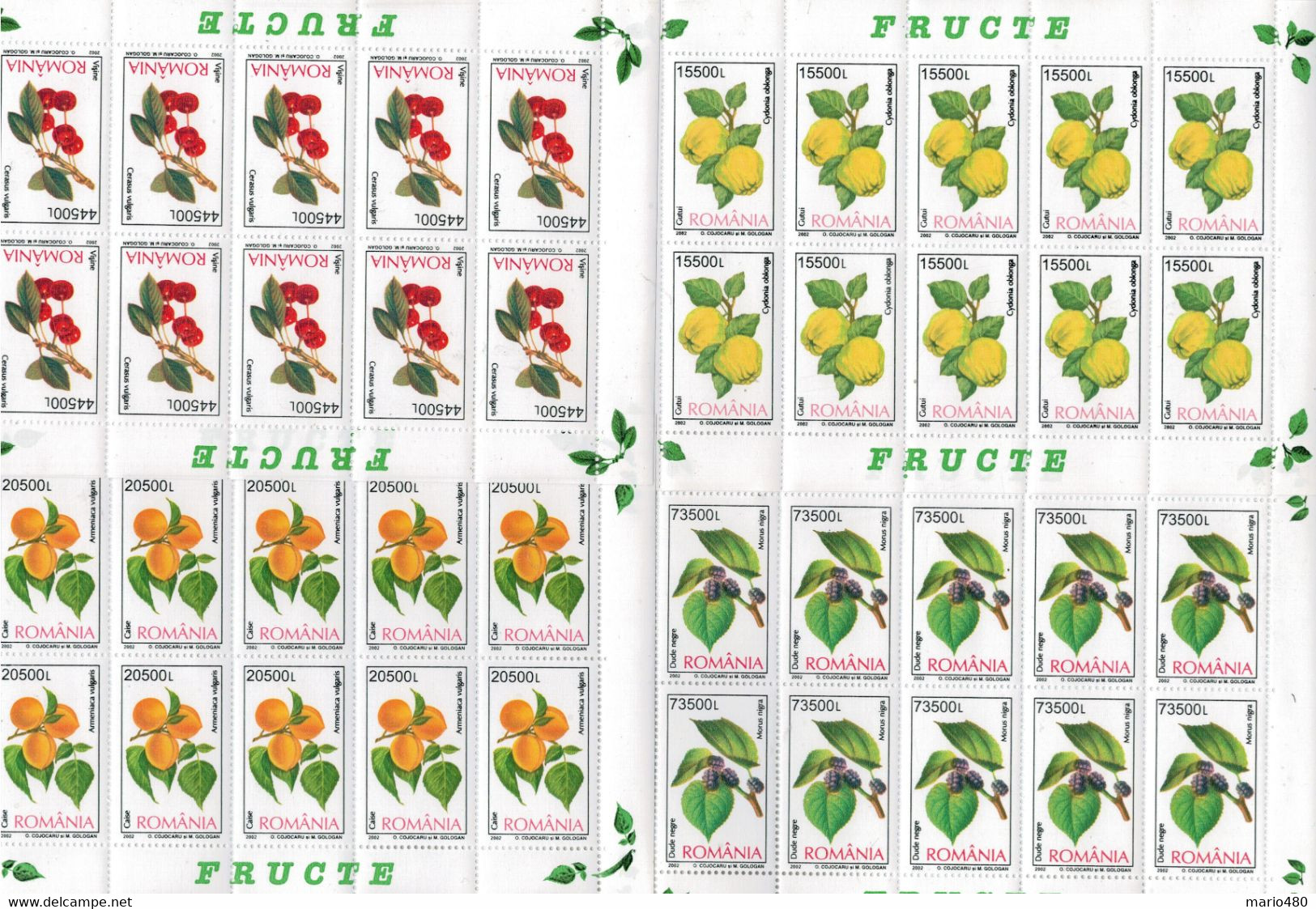 ROMANIA    4  FOGLI CP.     FRUITS   2002    MNH**   (40 STAMPS) - Feuilles Complètes Et Multiples