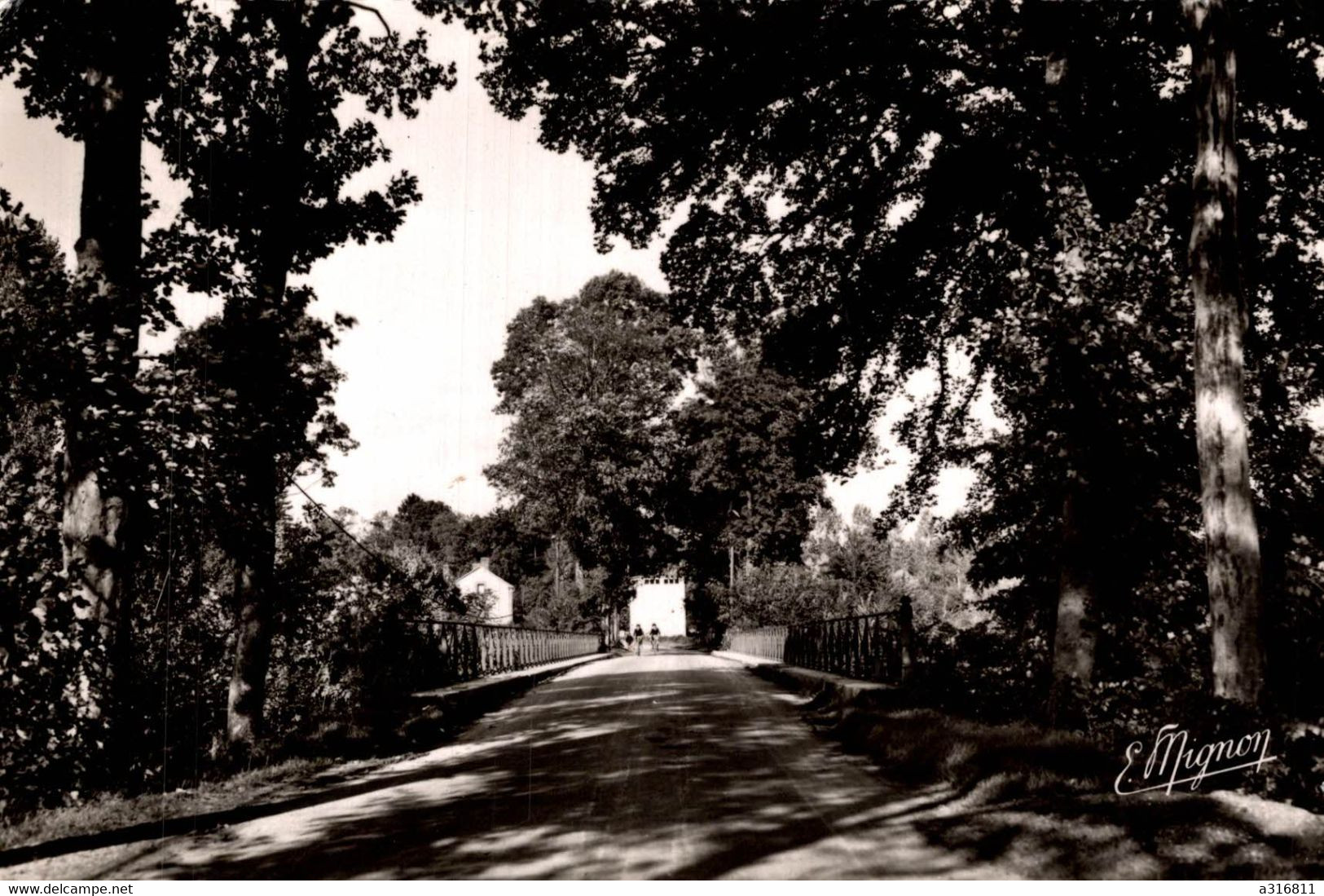 Flogny Avenue De La Gare - Flogny La Chapelle