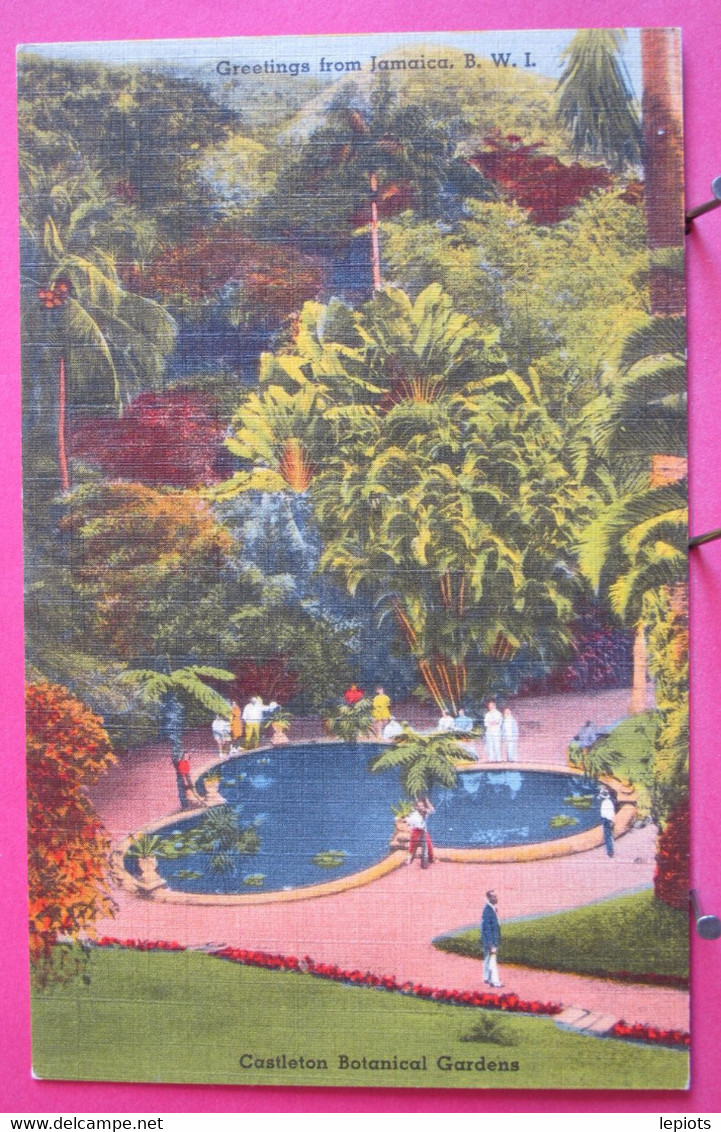 Visuel Très Peu Courant - Jamaïque - Castleton Botanical Gardens - R/verso - Jamaïque