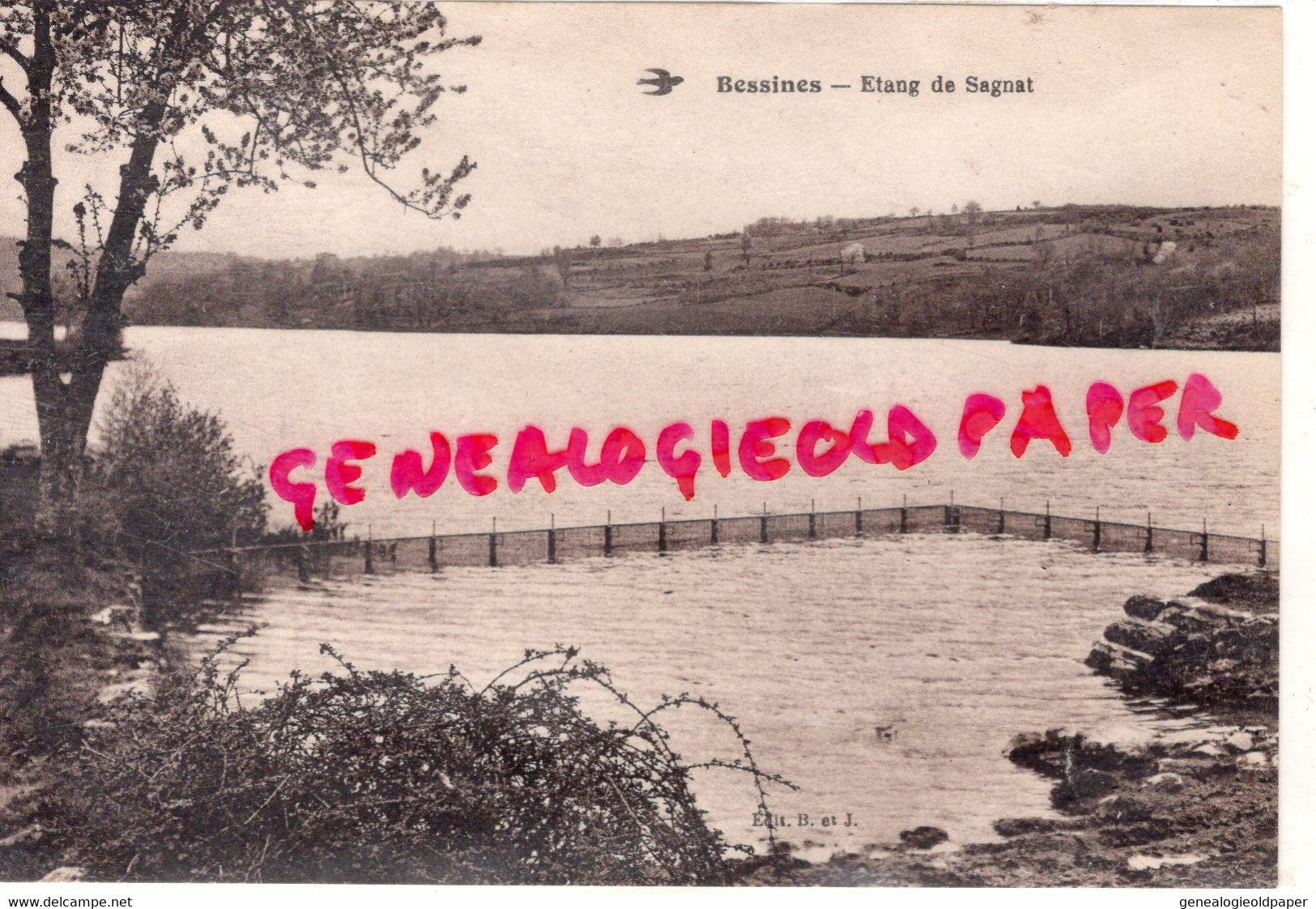 87- BESSINES SUR GARTEMPE- ETANG DE SAGNAT - Bessines Sur Gartempe