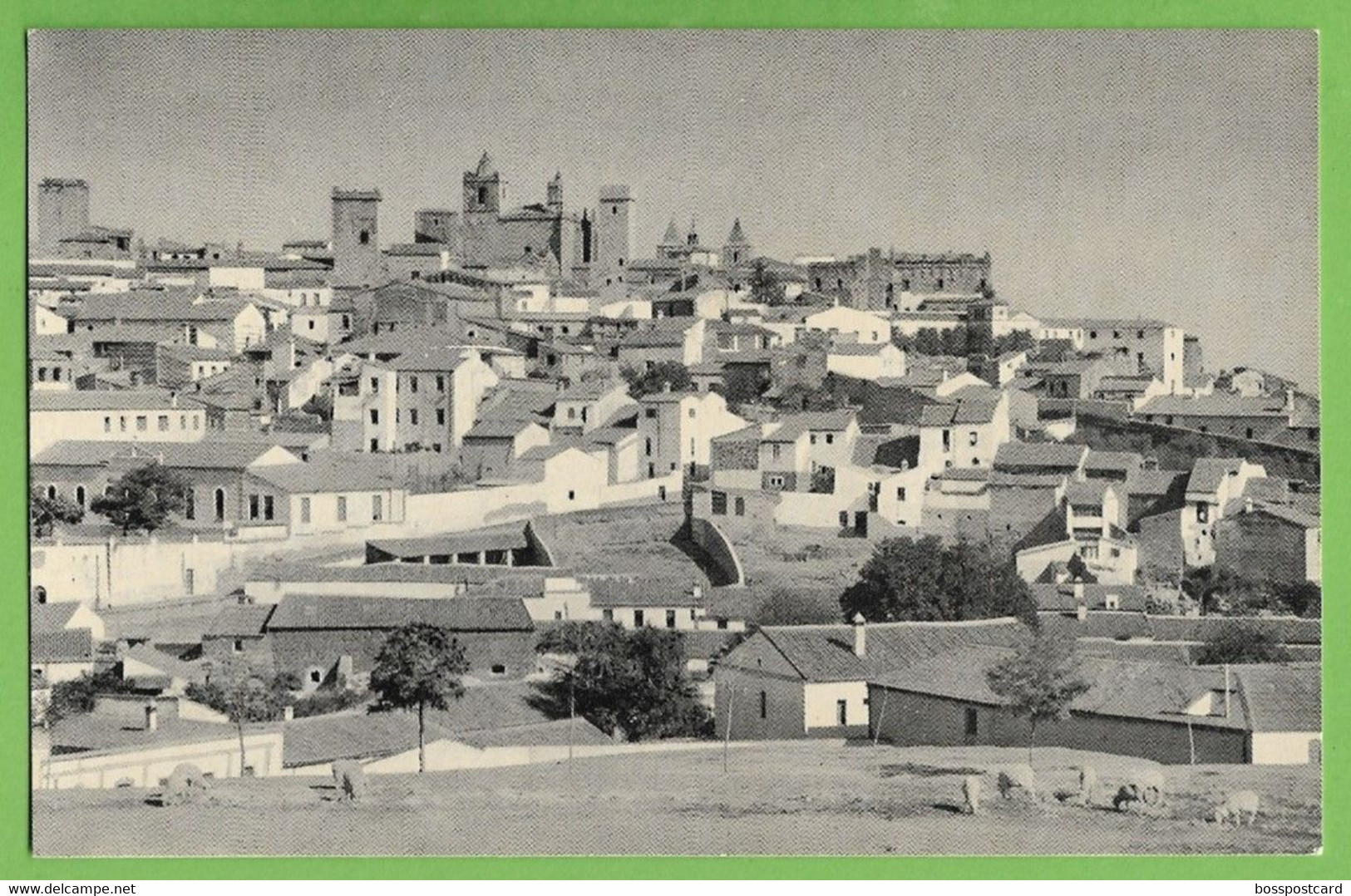 Cáceres - Parte Antigua - Vista Parcial. Extremadura. España. - Cáceres