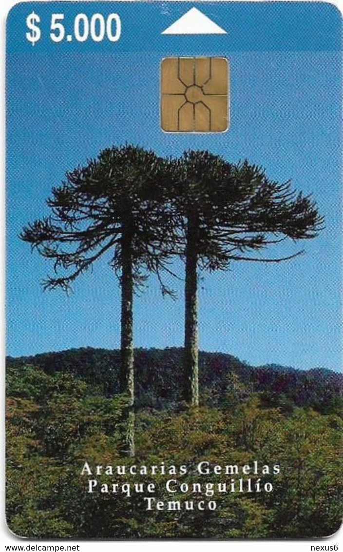 Chile - Telefónica - Araucarias Gemelas Parque (4th Issue), Gem1A Symmetr. Black, Exp. 08.2000, 5.000Cp$, 20.000ex, Used - Chili