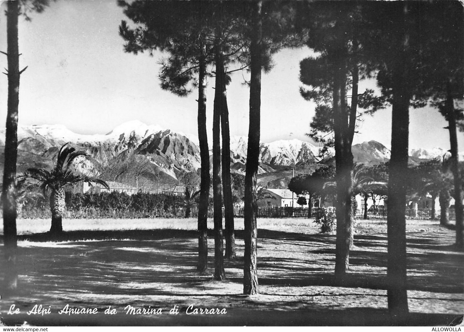 17466 " LE ALPI APUANE DA MARINA DI CARRARA " -VERA FOTO-CART. POST. SPED.1960 - Carrara