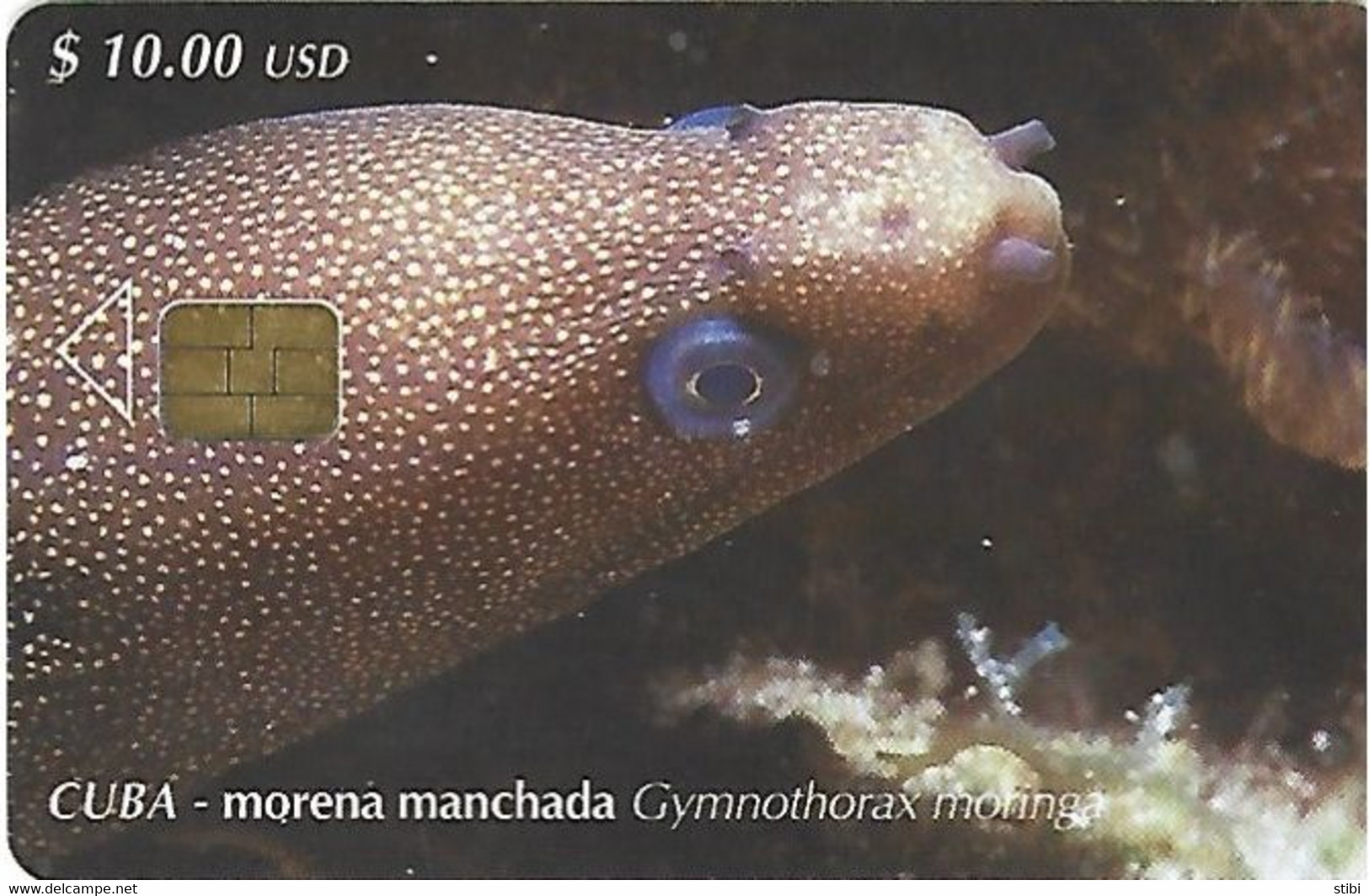 CUBA - MORENA MANCHADA - FISH - 30.000EX - Kuba