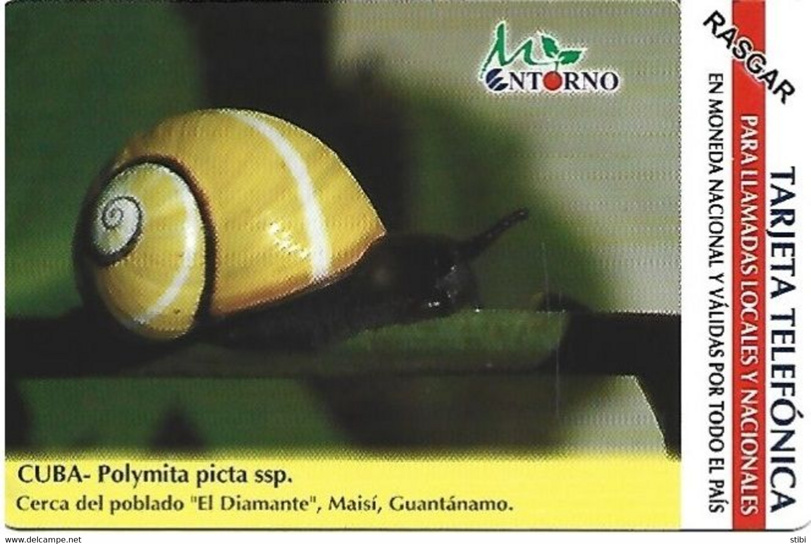 CUBA - POLYMITA PICTA SSP. - SNAIL - 75.000EX - Kuba