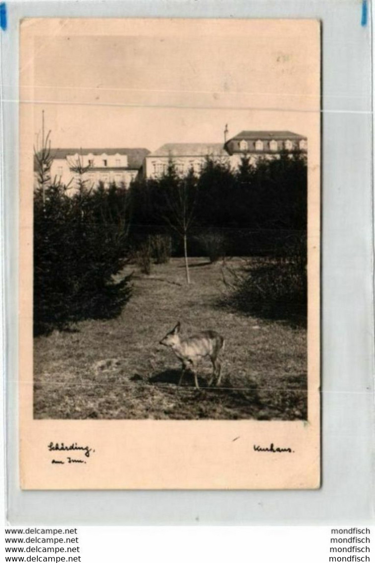 Schärding Am Inn Mit Reh 1964 - Schärding