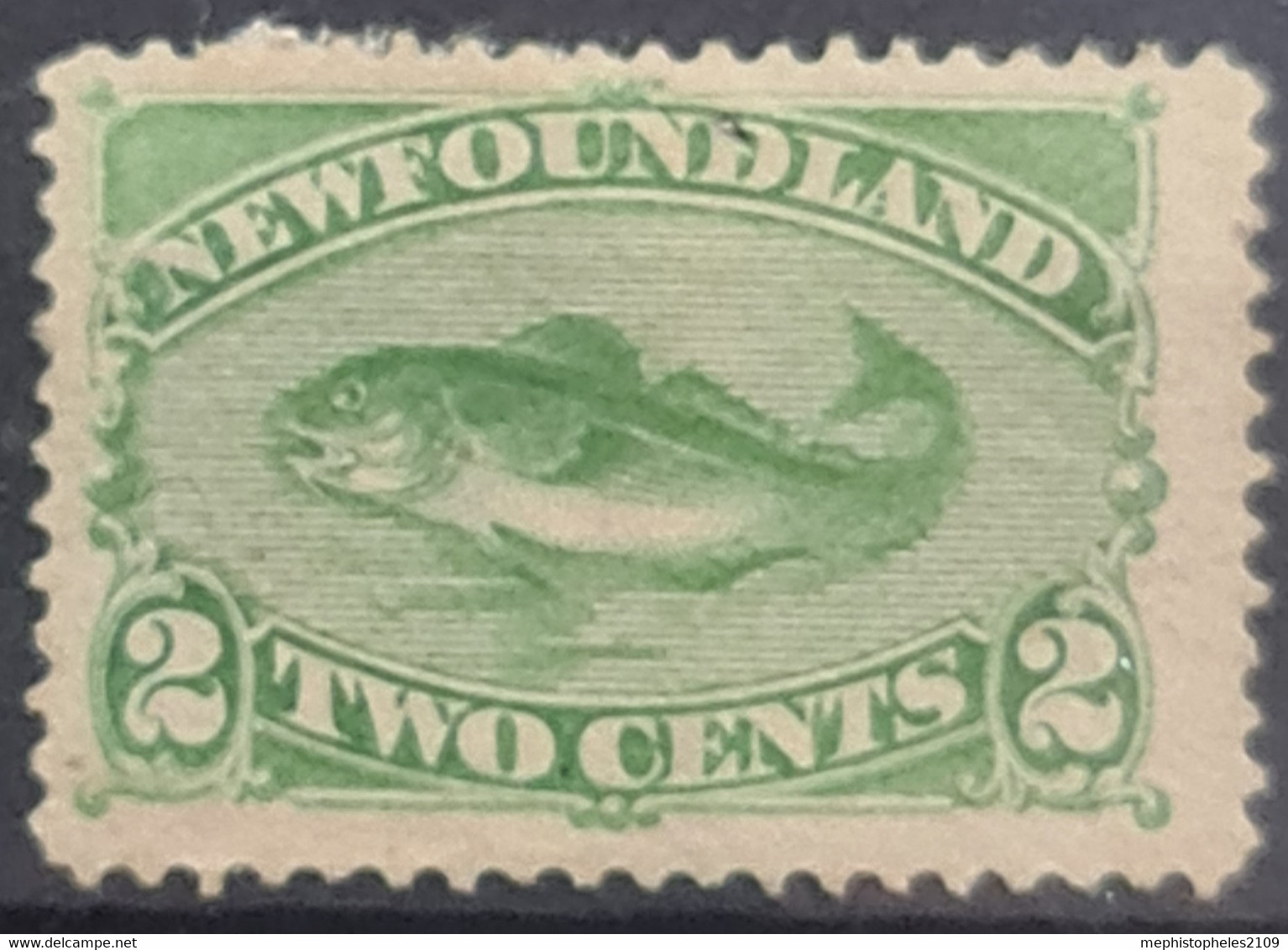 NEWFOUNDLAND 1880 - MLH - Sc# 46 - 1865-1902