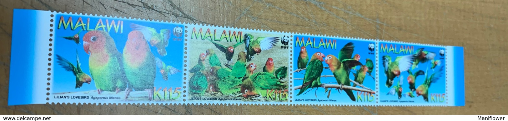 Birds WWF Parrots Malawi Stamp From Hong Kong MNH - Lettres & Documents