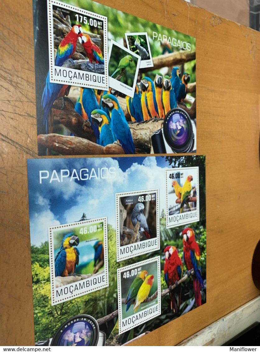 Birds Parrots Macambique Stamp From Hong Kong MNH - Covers & Documents