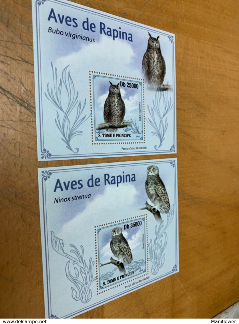 Birds Owl S. Tome E. Principe Stamp From Hong Kong MNH - Lettres & Documents