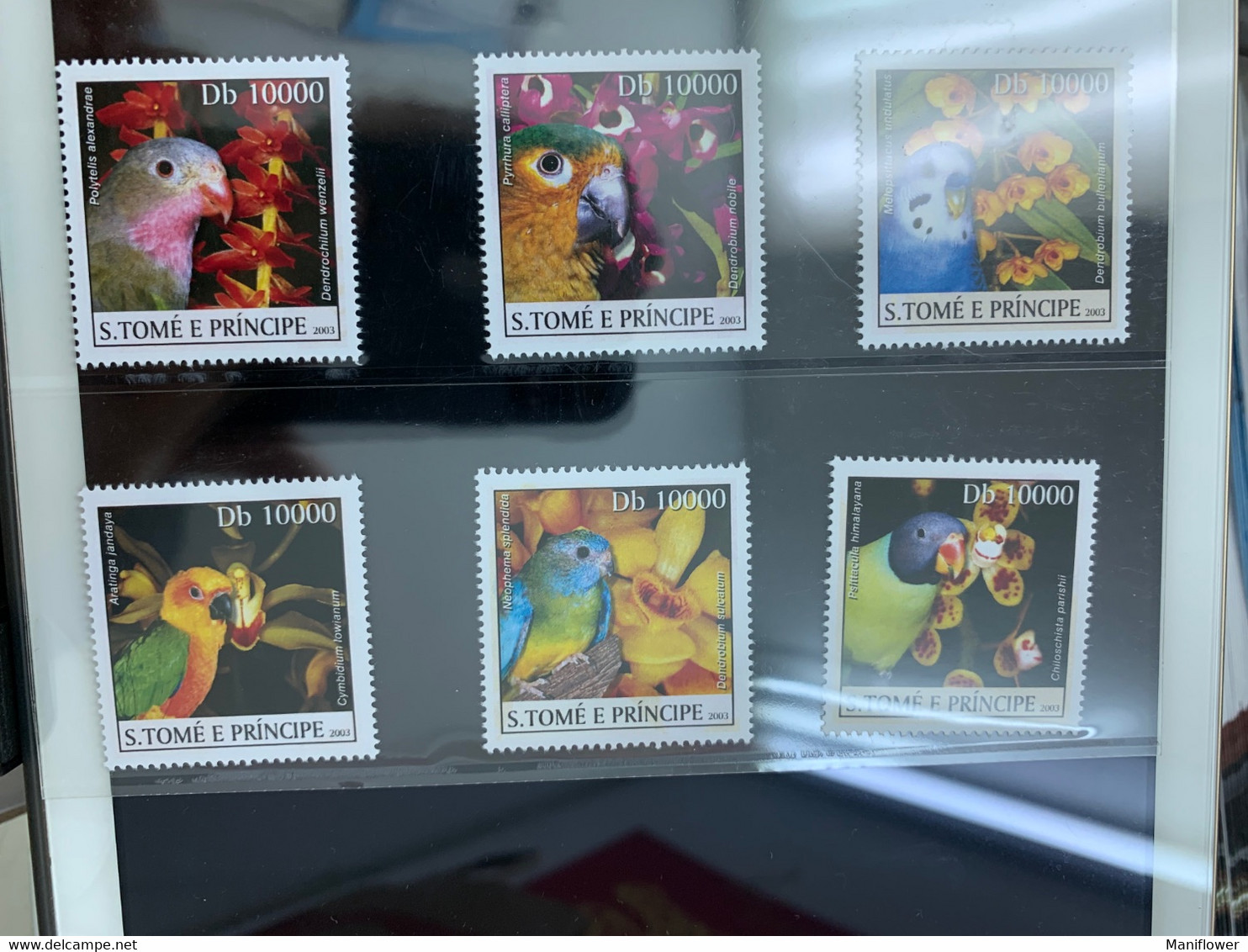 Parrots Orchids S. Tome E. Principe Stamp From Hong Kong MNH - Lettres & Documents