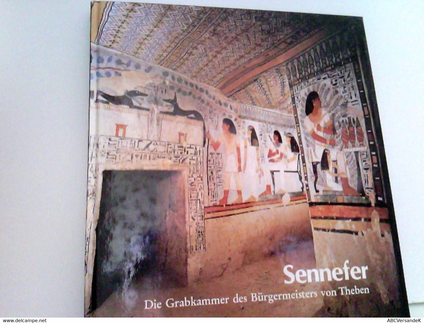 Sennefer. Die Grabkammer Des Bürgermeisters Von Theben. - Archäologie