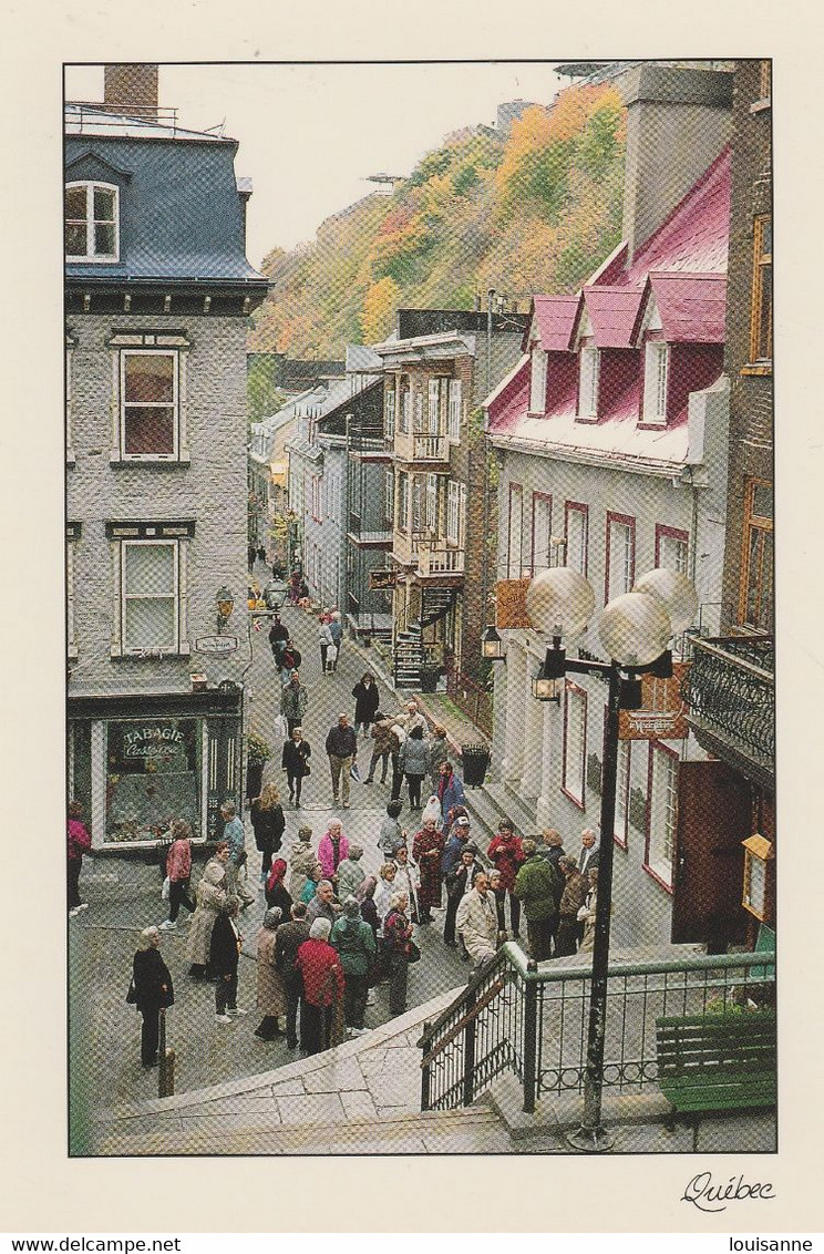 VILLE  DU  QUÉBEC  - LE  PETIT CHAMPLAIN  La Plus Petite Rue  D'amérique  Du  Nord  ( CPM  17cms  X  11 ) ( 22 / 7 / 195 - Nunavut