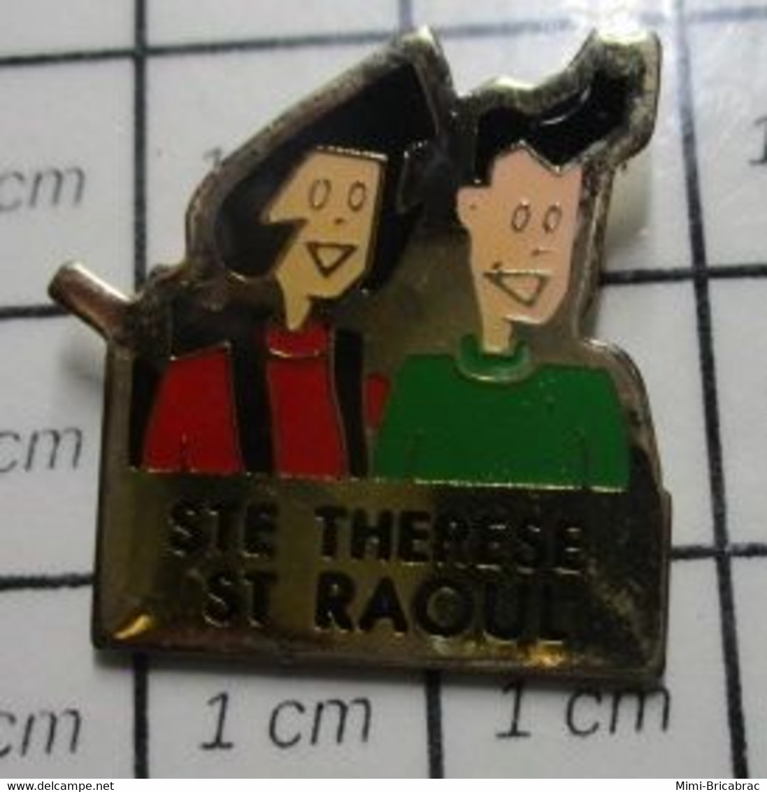 2022 Pin's Pins / Beau Et Rare / THEME : ADMINISTRATIONS / ECOLE STE THERESE ST RAOUL VOLFONI Qui Ventile Façon Puzzle ! - Administrations