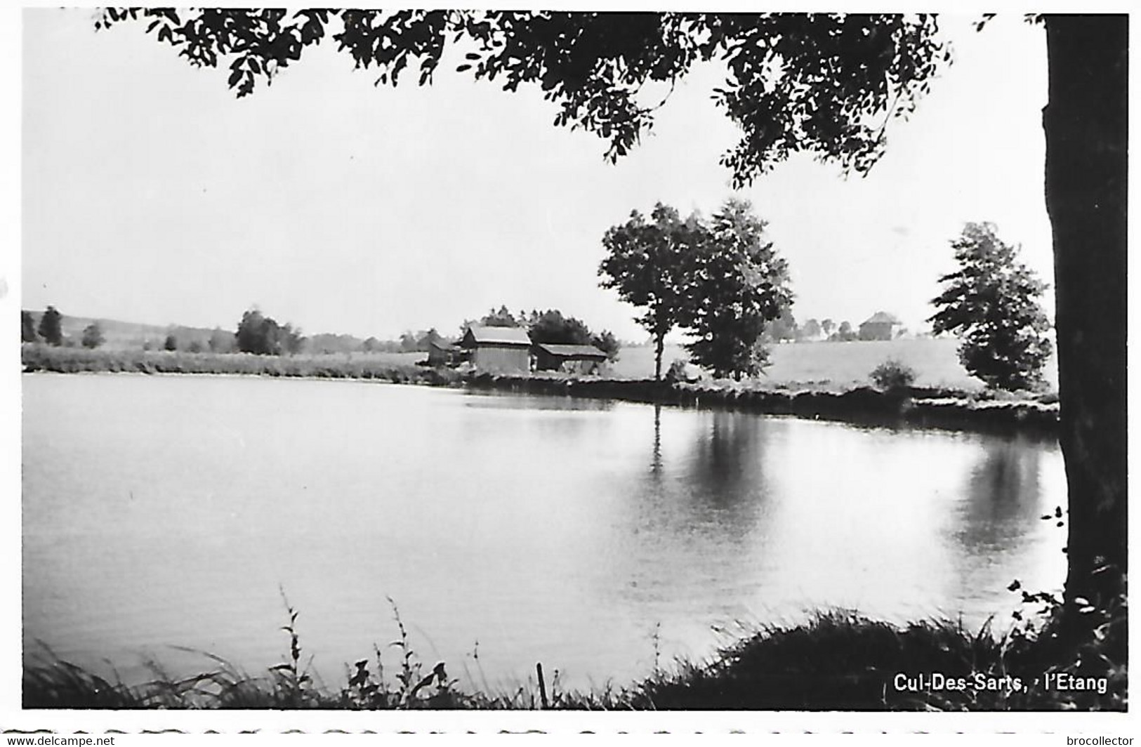 CUL Des SARTS ( Belgique ) - L'Etang  ( C.P.S.M. , Pt - Ft ) - Cul-des-Sarts