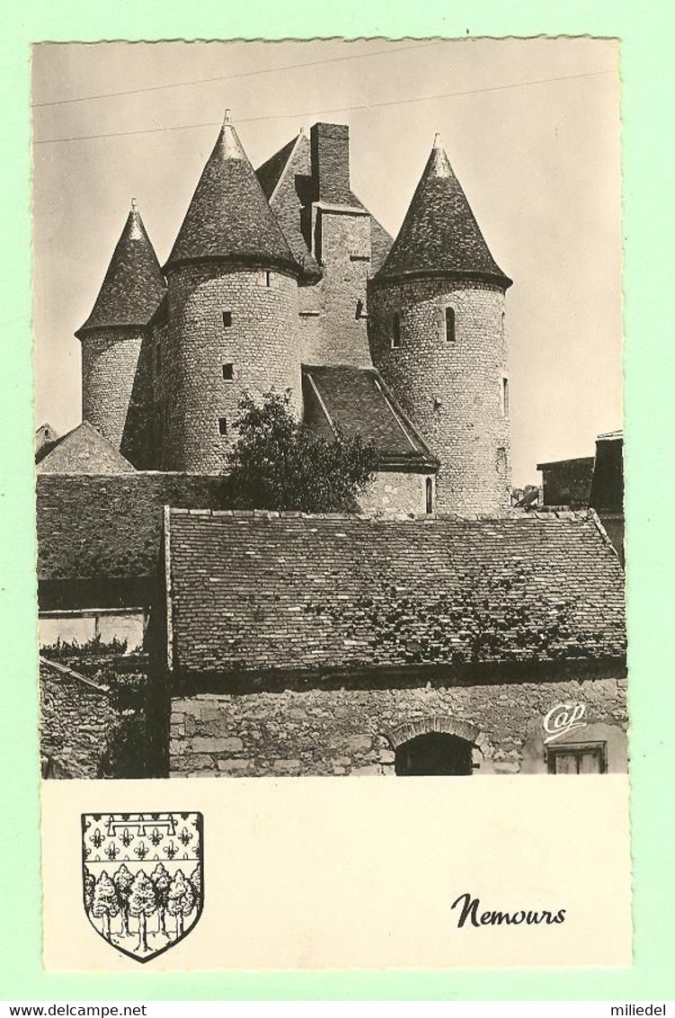 W054 - NEMOURS - Le Château, Côté Sud - Nemours