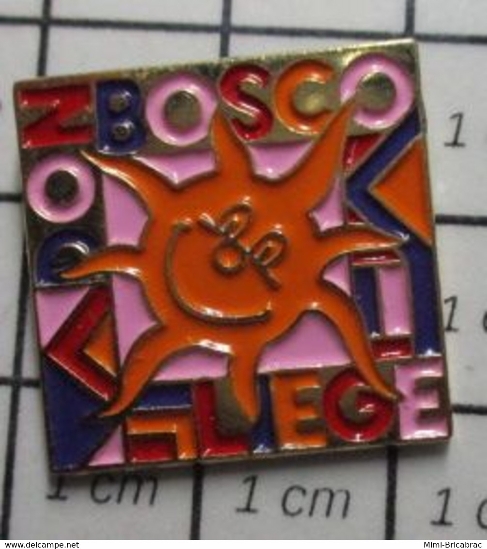 3219 Pin's Pins / Beau Et Rare / THEME : ADMINISTRATIONS / COLLEGE DON BOSCO SOLEIL RAYONNANT - Administrations
