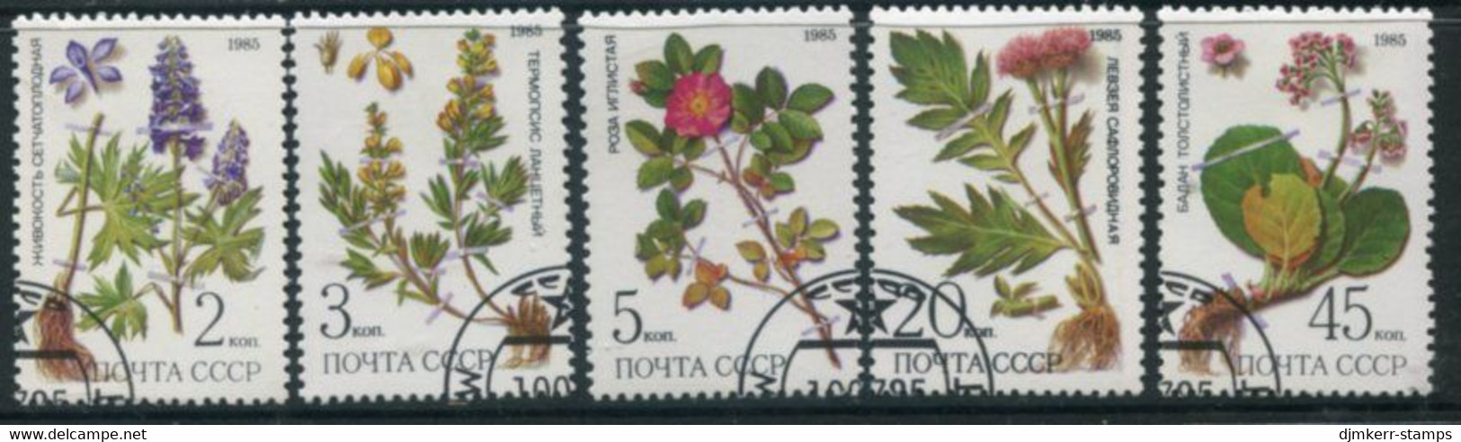 SOVIET UNION 1985 Medicinal Plants  Used.  Michel 5528-32 - Used Stamps