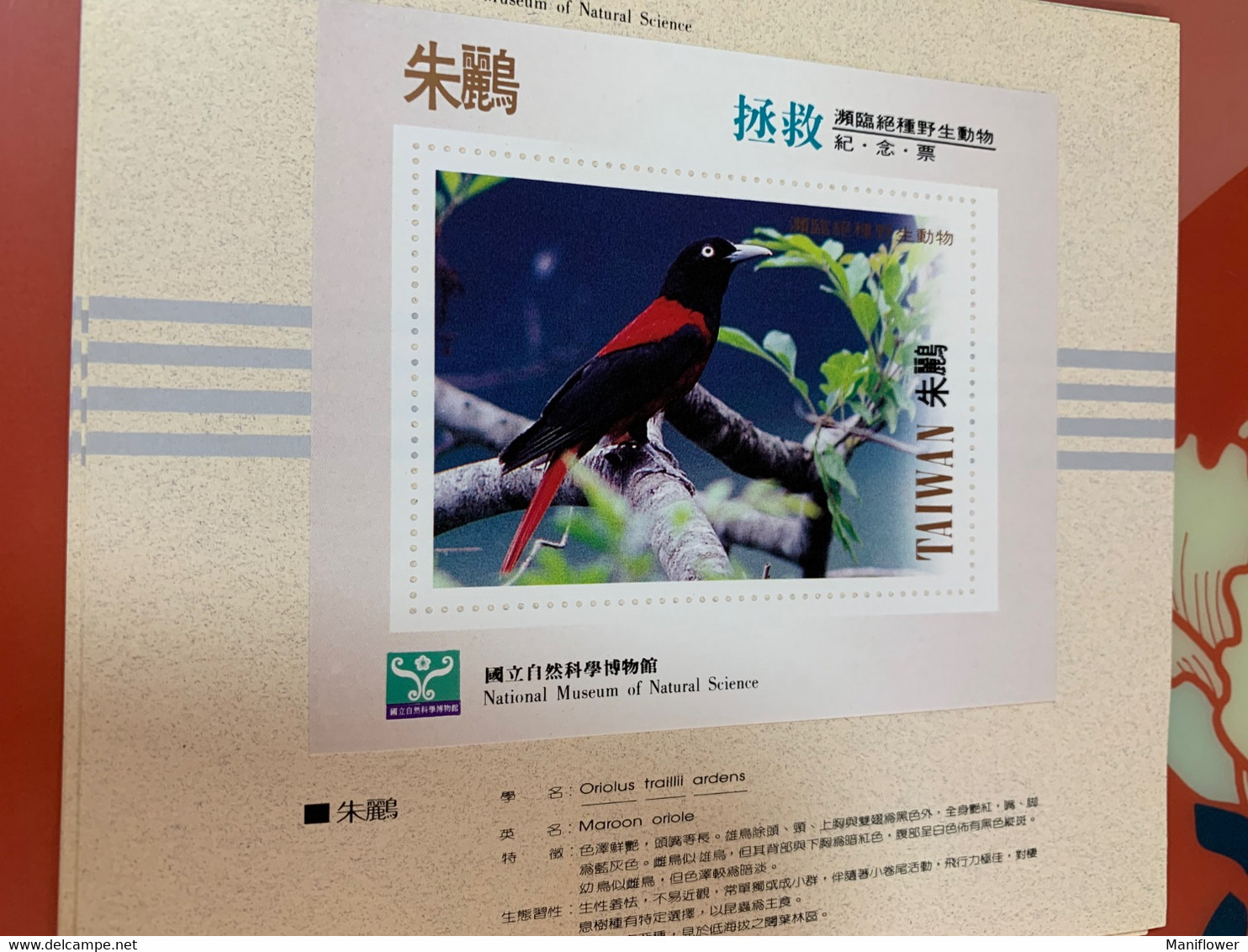 National Museum Of Natural Science Saved Bird Maroon Oriolus Taiwan No Face S/s - Covers & Documents