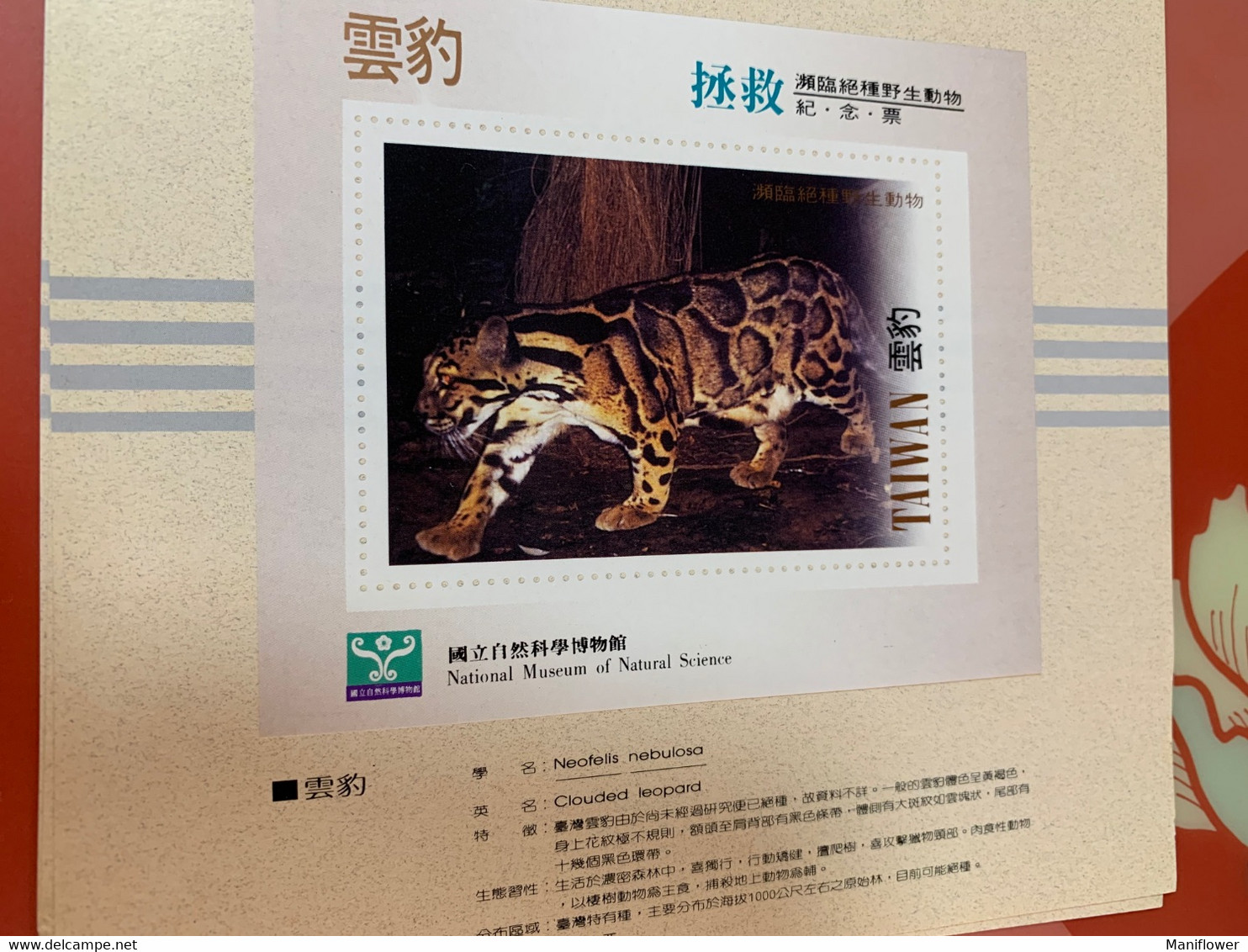 National Museum Of Natural Science Saved Clouded Leopard Taiwan No Face S/s - Covers & Documents