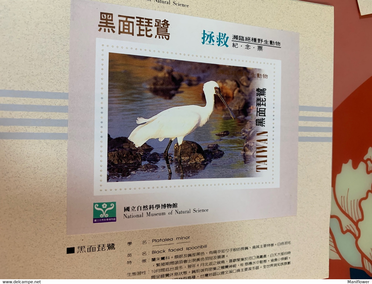 National Museum Of Natural Science Saved Black Faced Spoonbill Taiwan No Face S/s - Covers & Documents