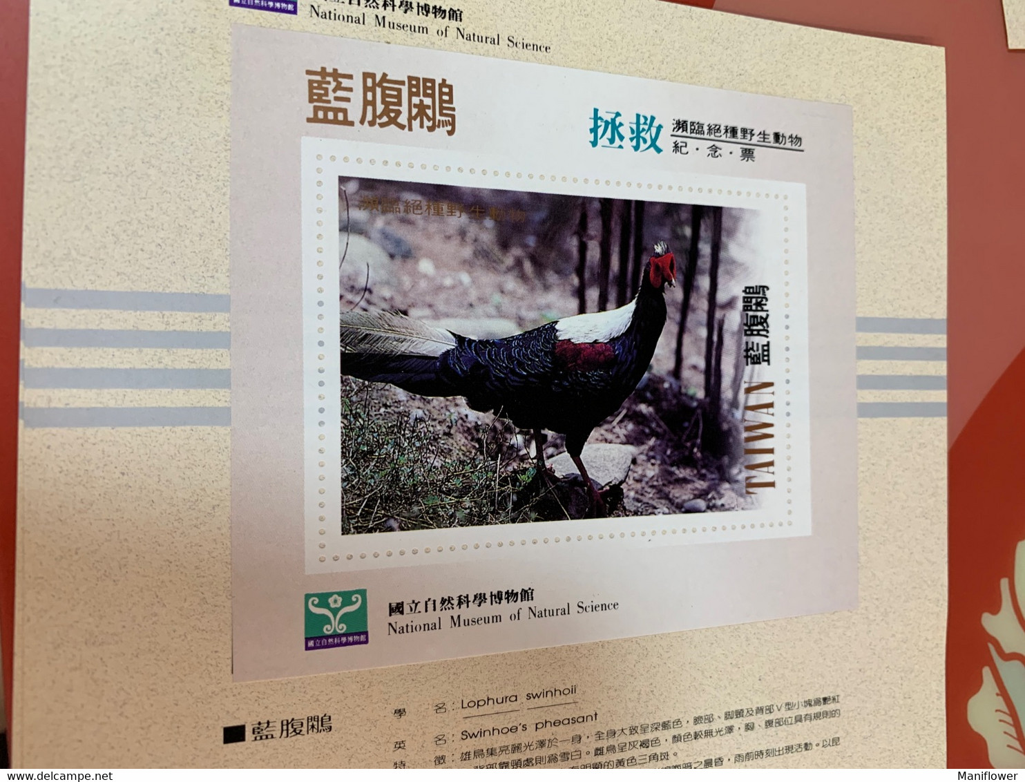 National Museum Of Natural Science Saved Swinhoes Pheasant  Taiwan No Face S/s - Lettres & Documents