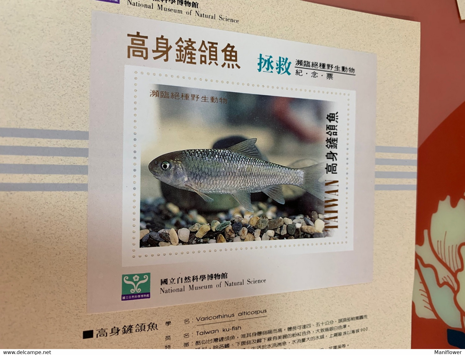 National Museum Of Natural Science Saved Ku-fish Taiwan No Face S/s - Covers & Documents