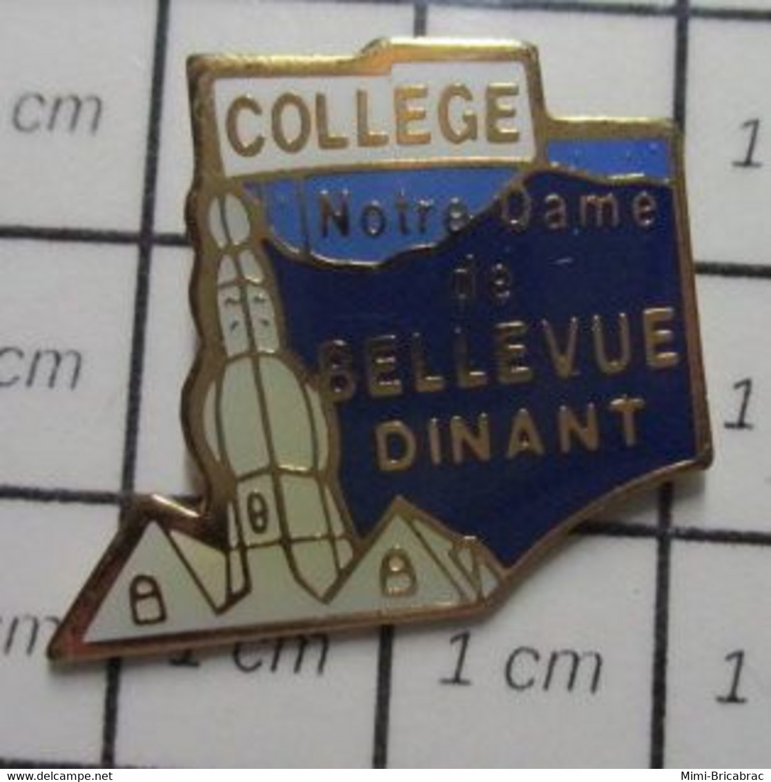 3219 Pin's Pins / Beau Et Rare / THEME : ADMINISTRATIONS / COLLE NOTRE DAME DE BELLEVUE DINANT  Région Wallonne Dans Les - Administrations