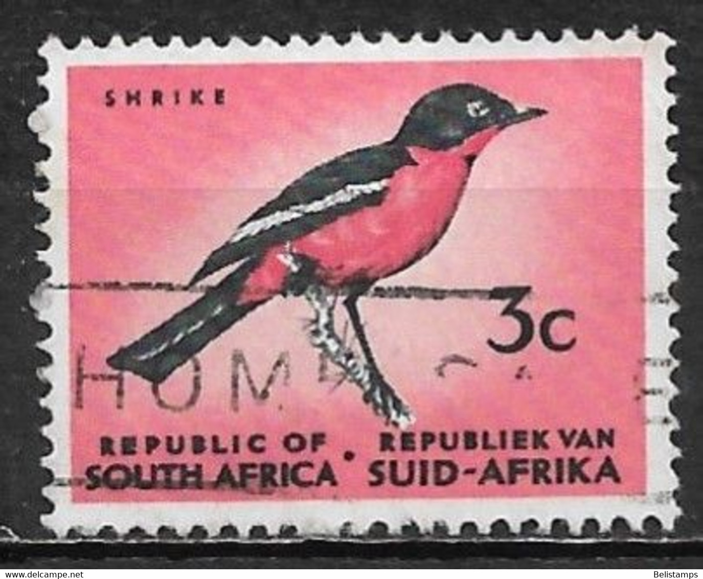 South Africa 1964. Scott #321 (U) Crimson-breasted Shrike, Bird - Usados