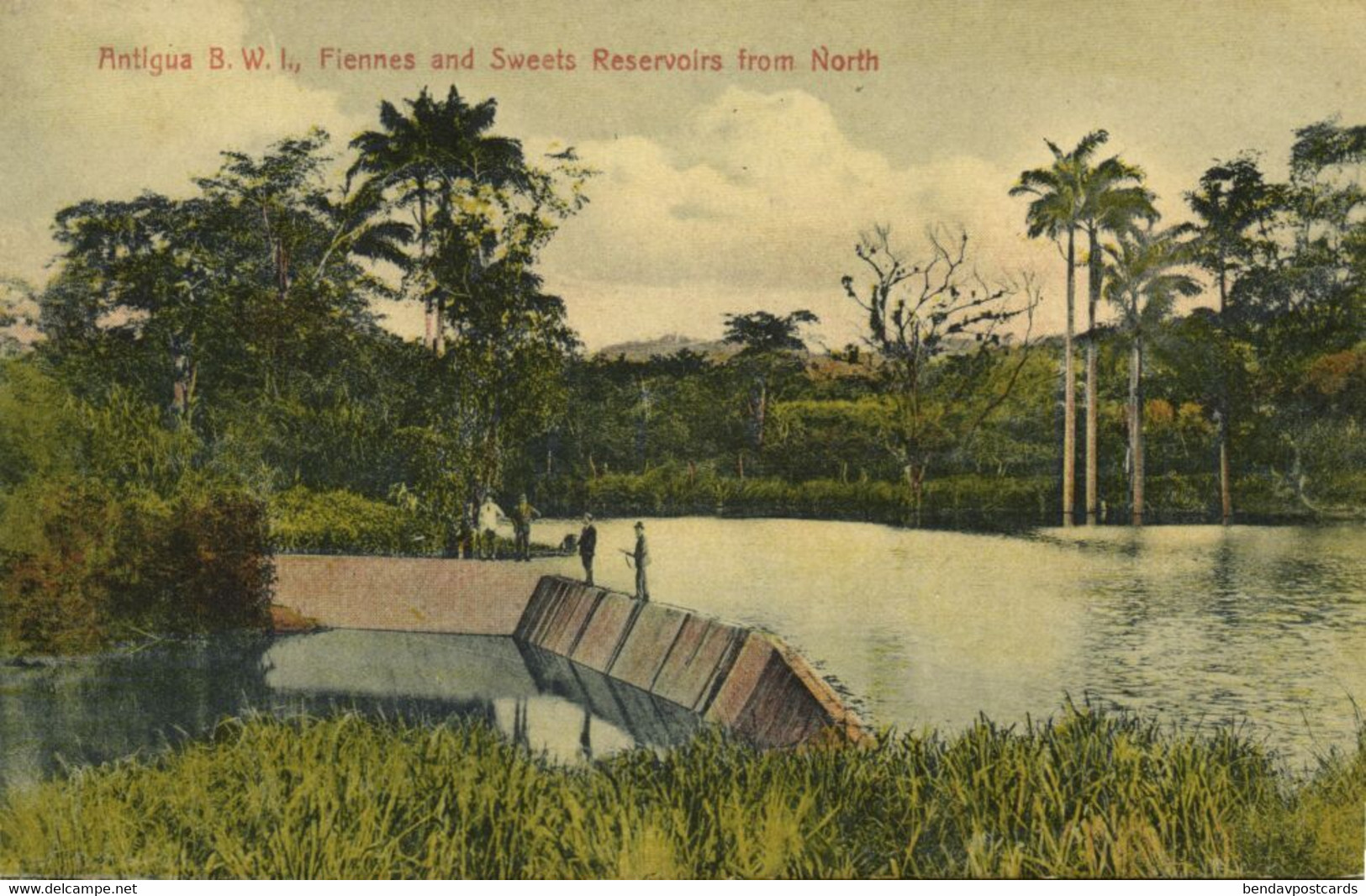 Antigua, B.W.I., Fiennes And Sweets Reservoirs From North (1910s) Postcard - Antigua Und Barbuda